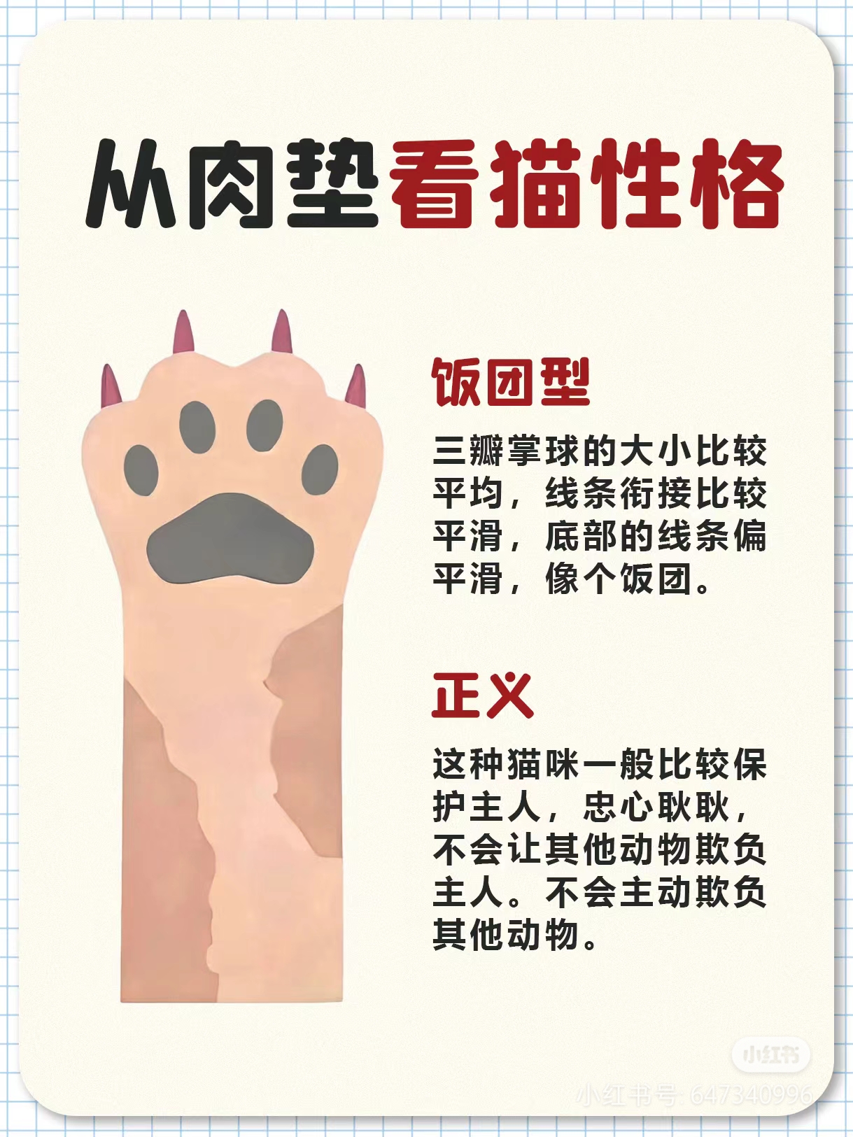 猫咪肉垫看性格图图片