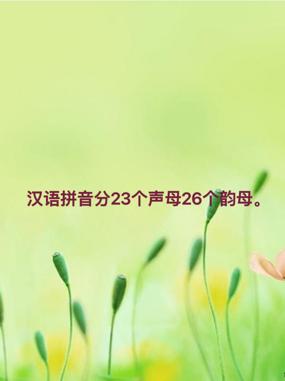 小学一年级拼音字母       邻居王大妈听说我是语文老师,找到我说,她