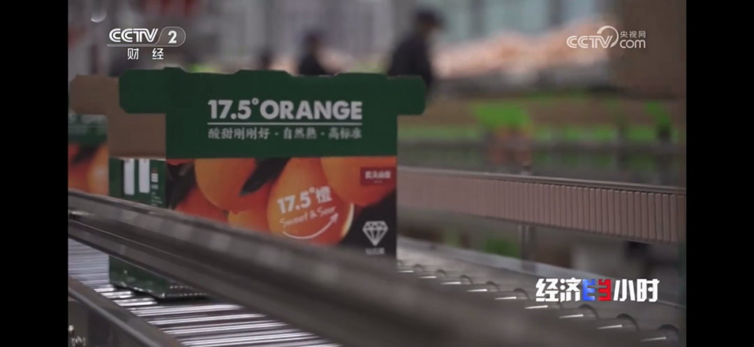 cctv2财经频道直播经济半小时(中央电视台财经频道经济半小时直播)