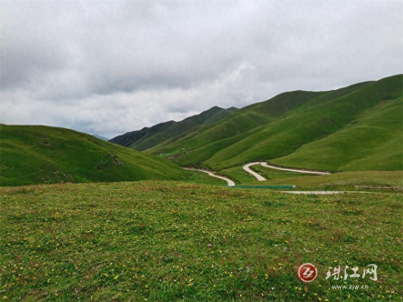 大海草山月份图片