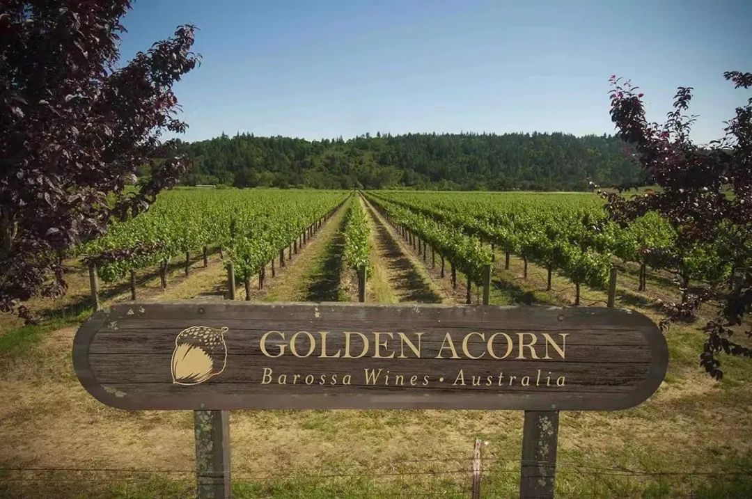 澳洲酒强势回归!为什么这么受欢迎?