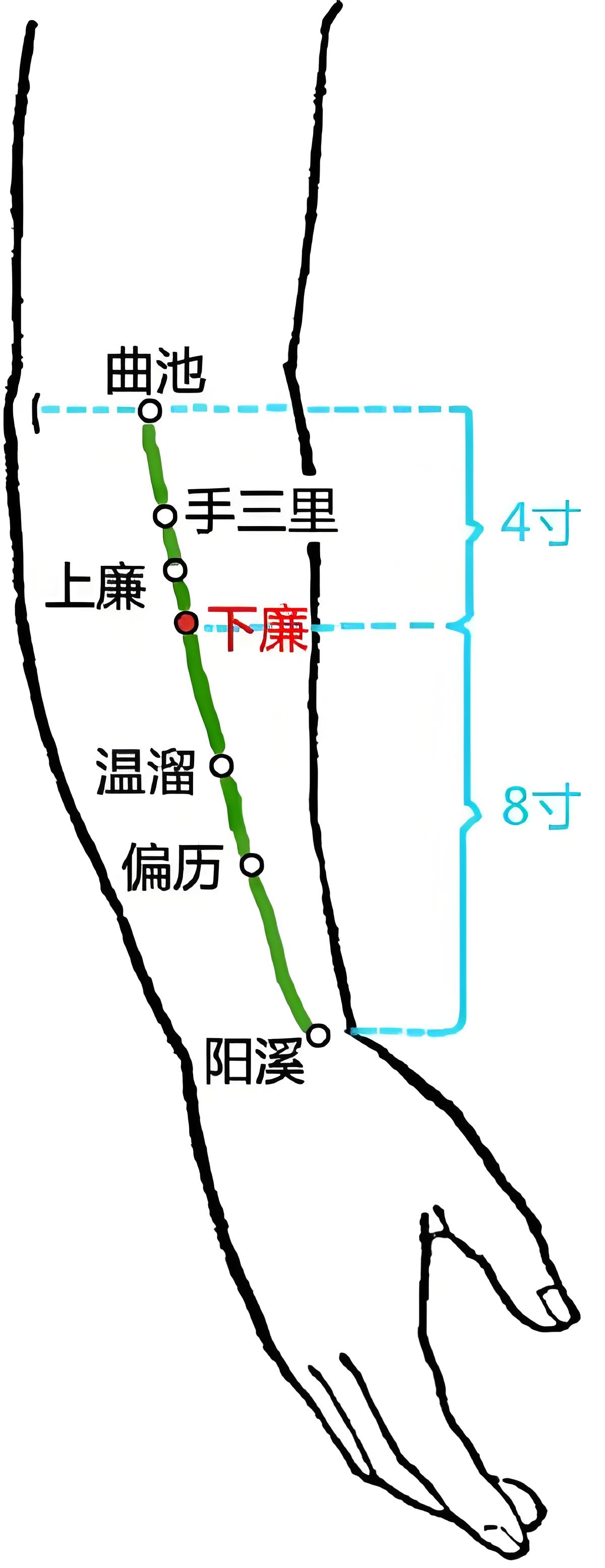 臂弯寸关的位置示意图图片