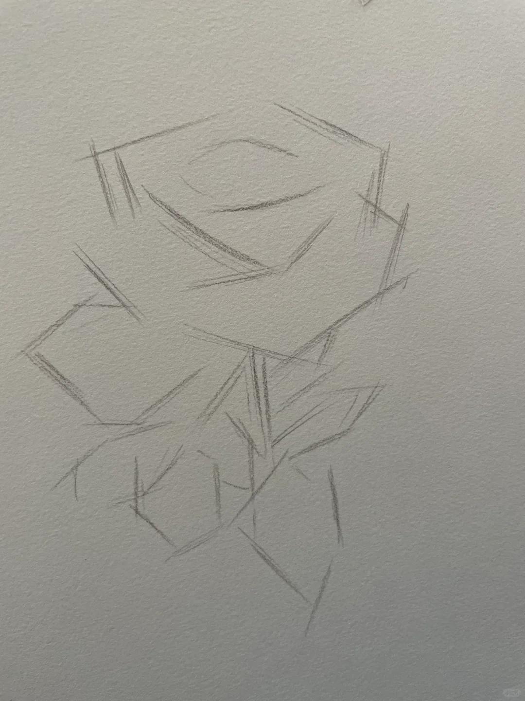 素描玫瑰花步骤