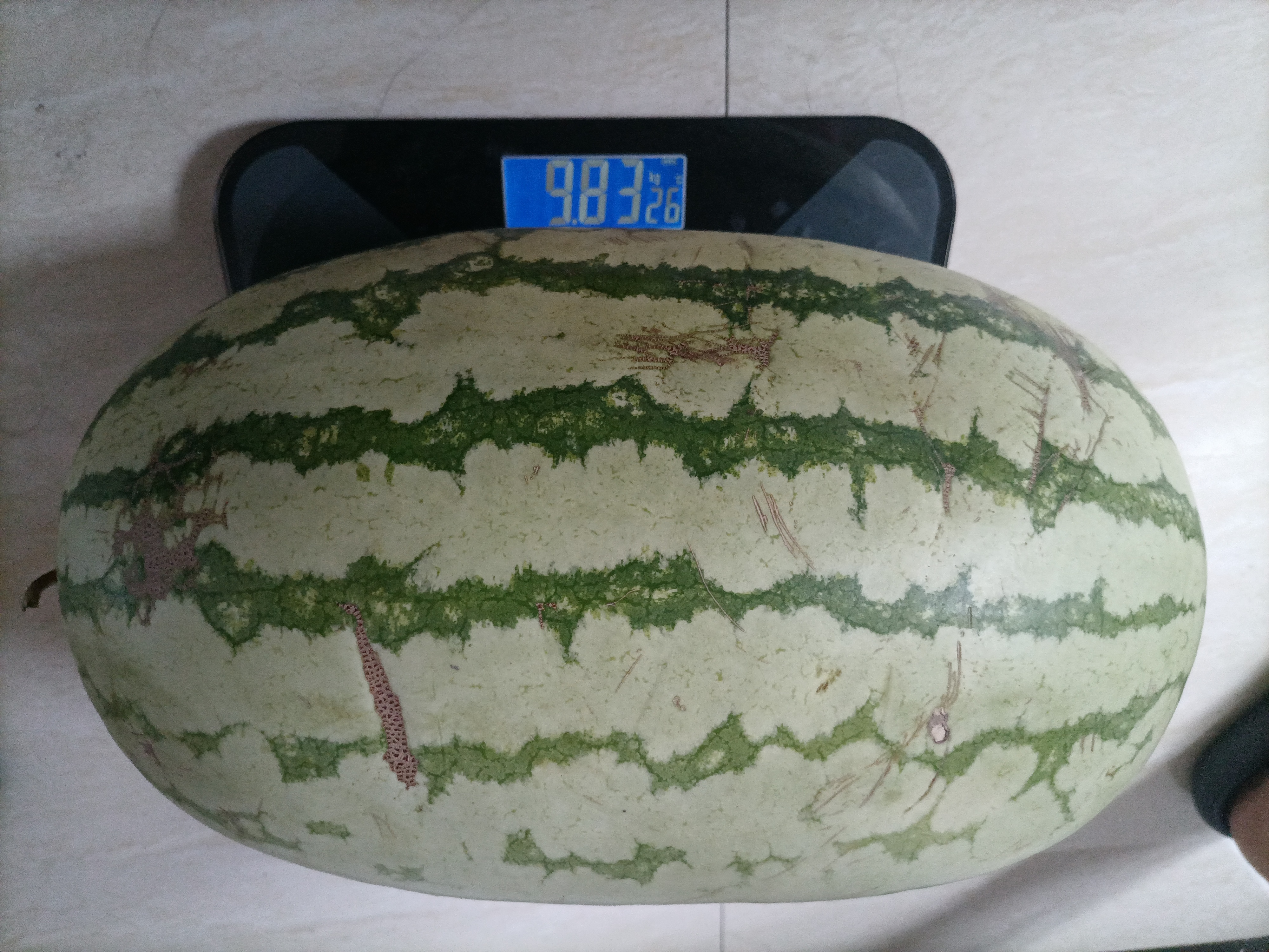 我没有去过新疆,但是特别爱吃新疆西瓜,个大而且甜,另外价格还也便宜