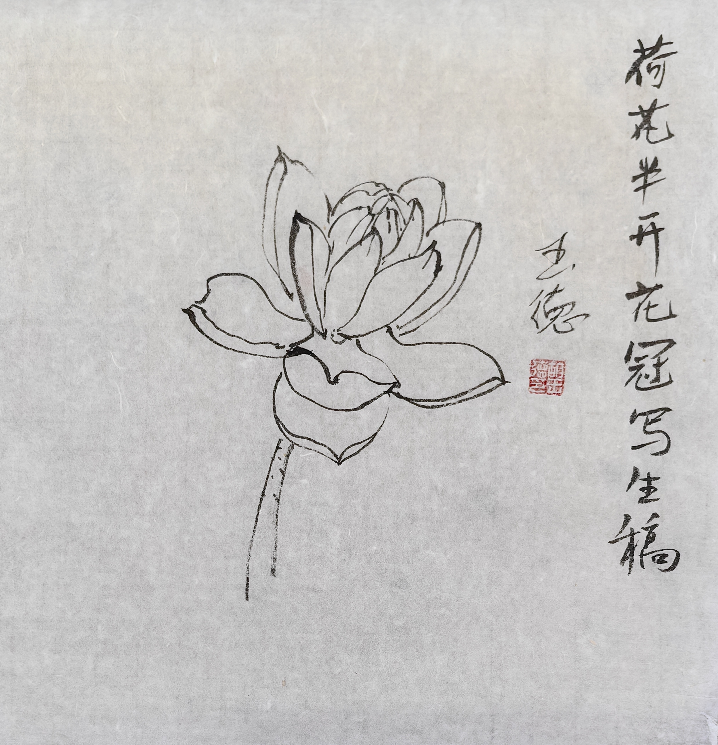 荷花国画勾线填色