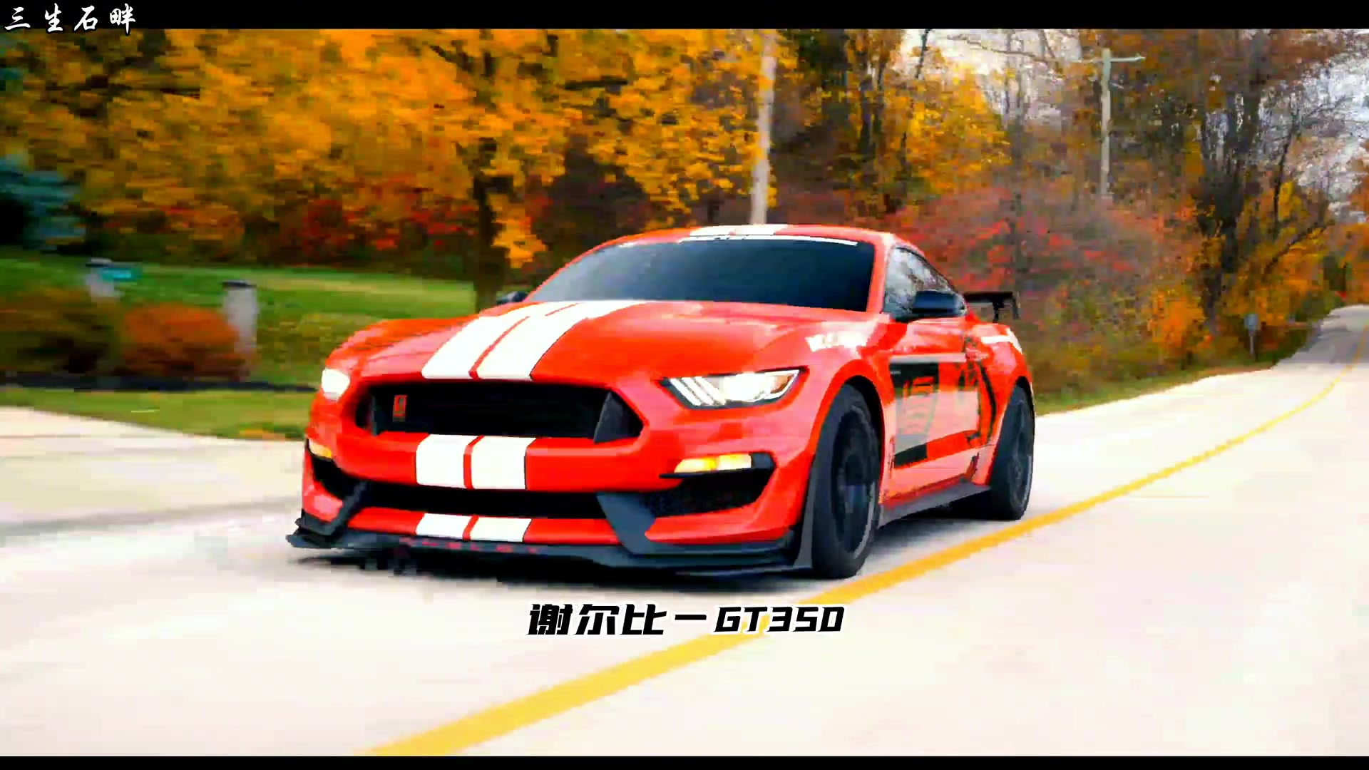 福特野马 谢尔比gt350 谢尔比gt500 道奇挑战者 科迈罗zl1