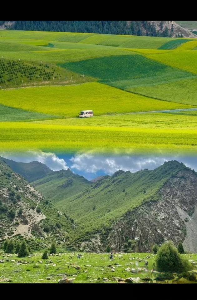 夏日旅游去中国最美六大草原之一的美丽草原