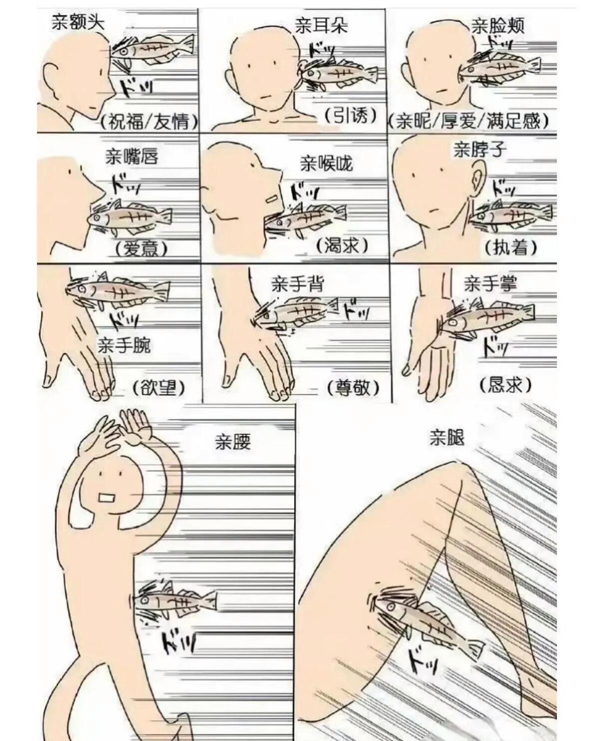 作为男朋友女朋友都过来看一看啦,作为年轻人谈恋爱