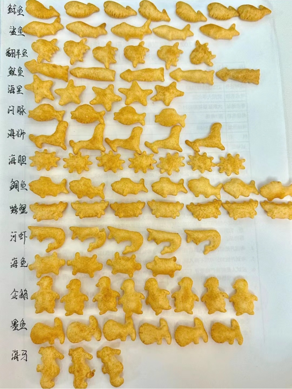 关于花5块钱就认识了很多海洋生物,好多鱼我到底要看看有多少种鱼!