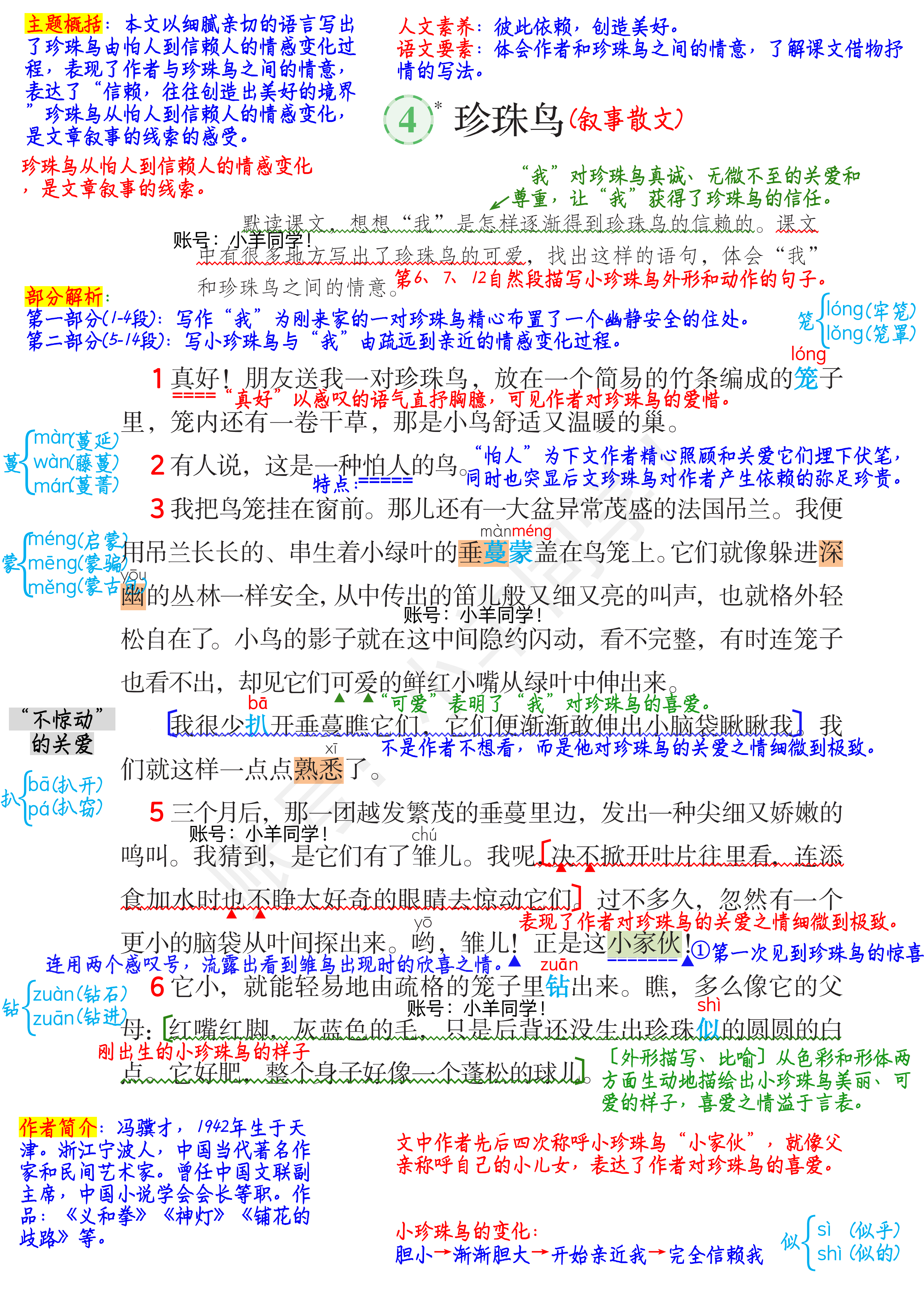 珍珠鸟课堂笔记知识点图片