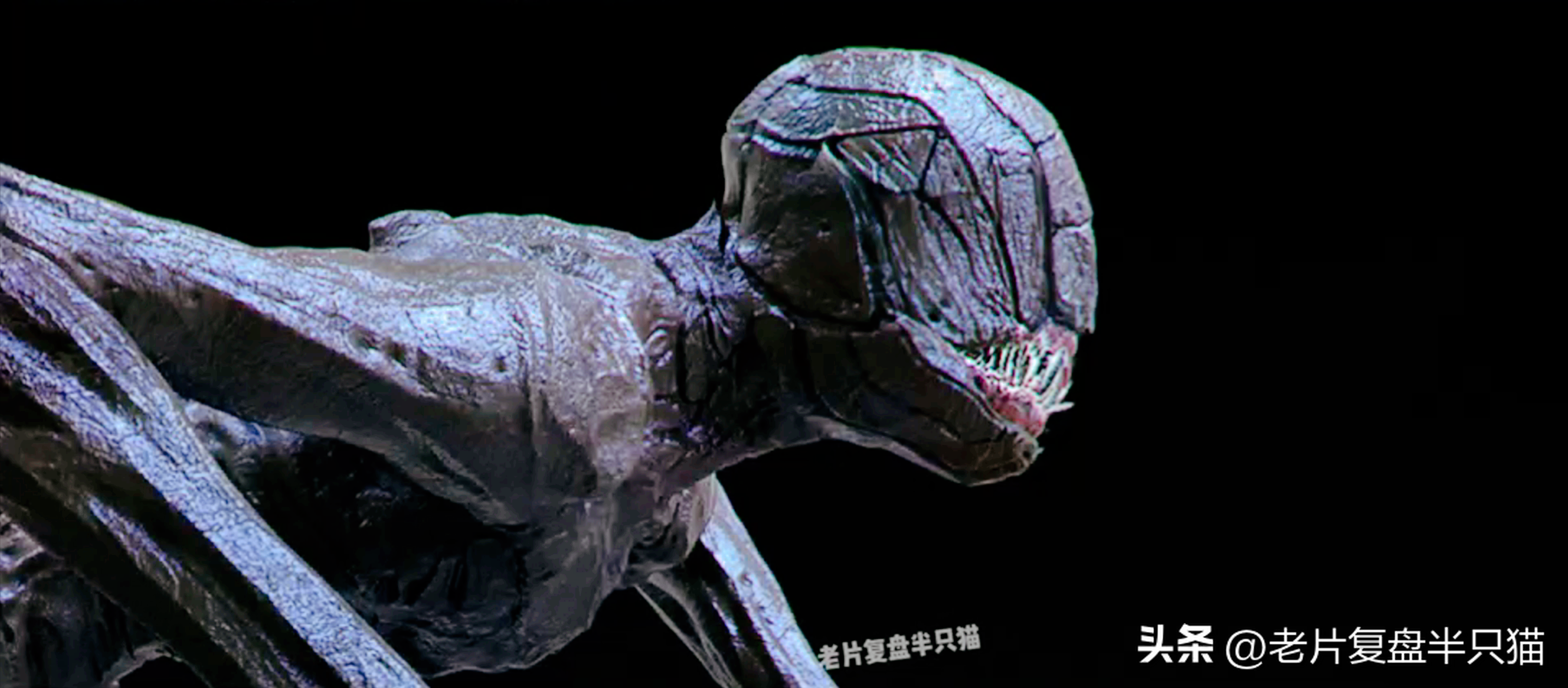 剖析电影《寂静之地》里的怪物究竟有多可怕,让主角们不敢呼吸