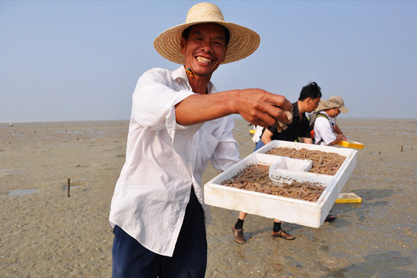 爬沙虫养殖图片