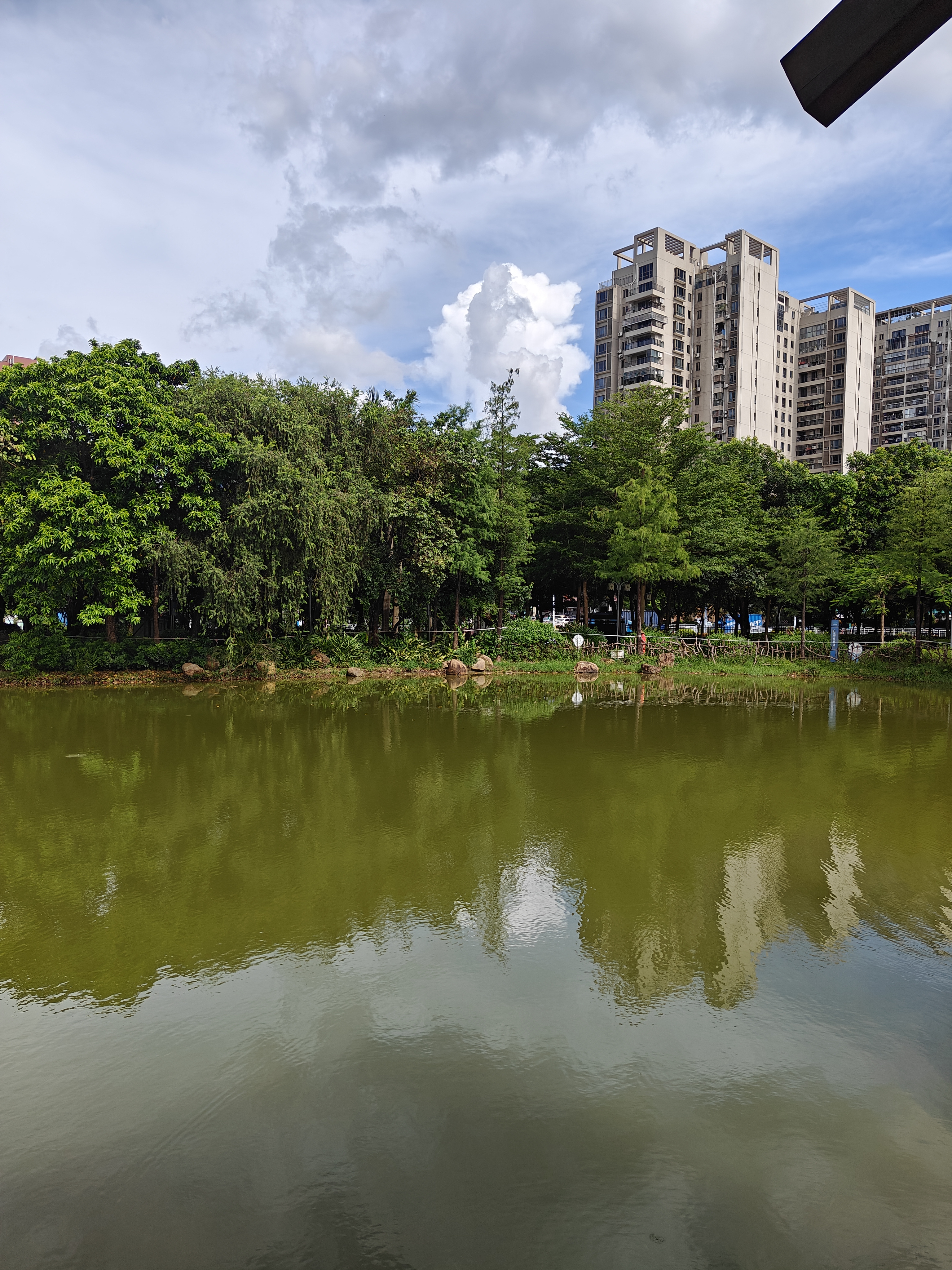 松岗麒麟山公园