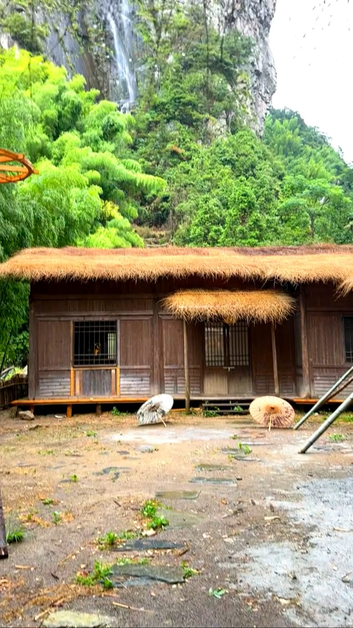 待我了无牵挂 从此归隐天涯 深山草屋为家,闲时小酒清茶,你来吗