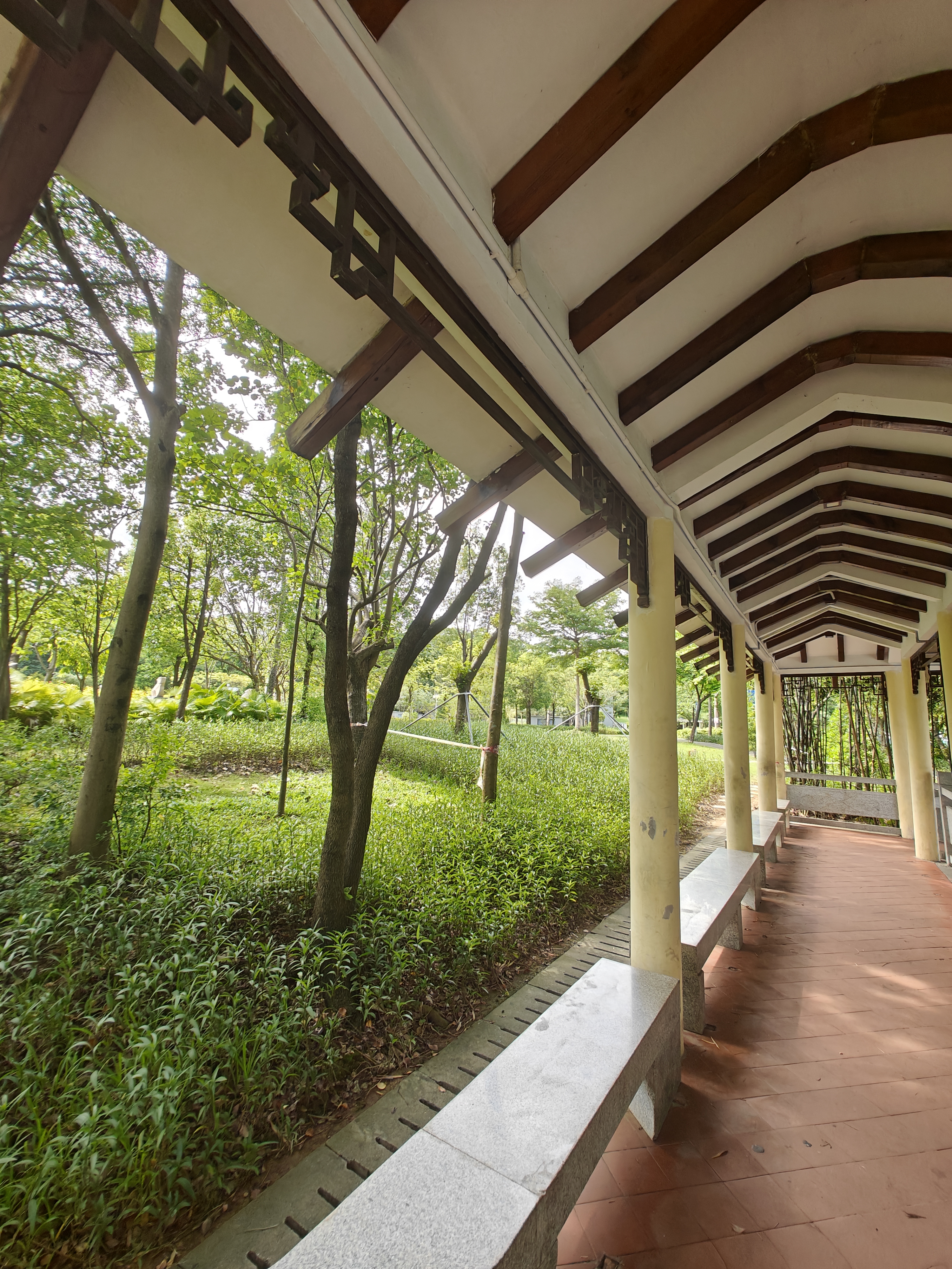 松岗麒麟山公园