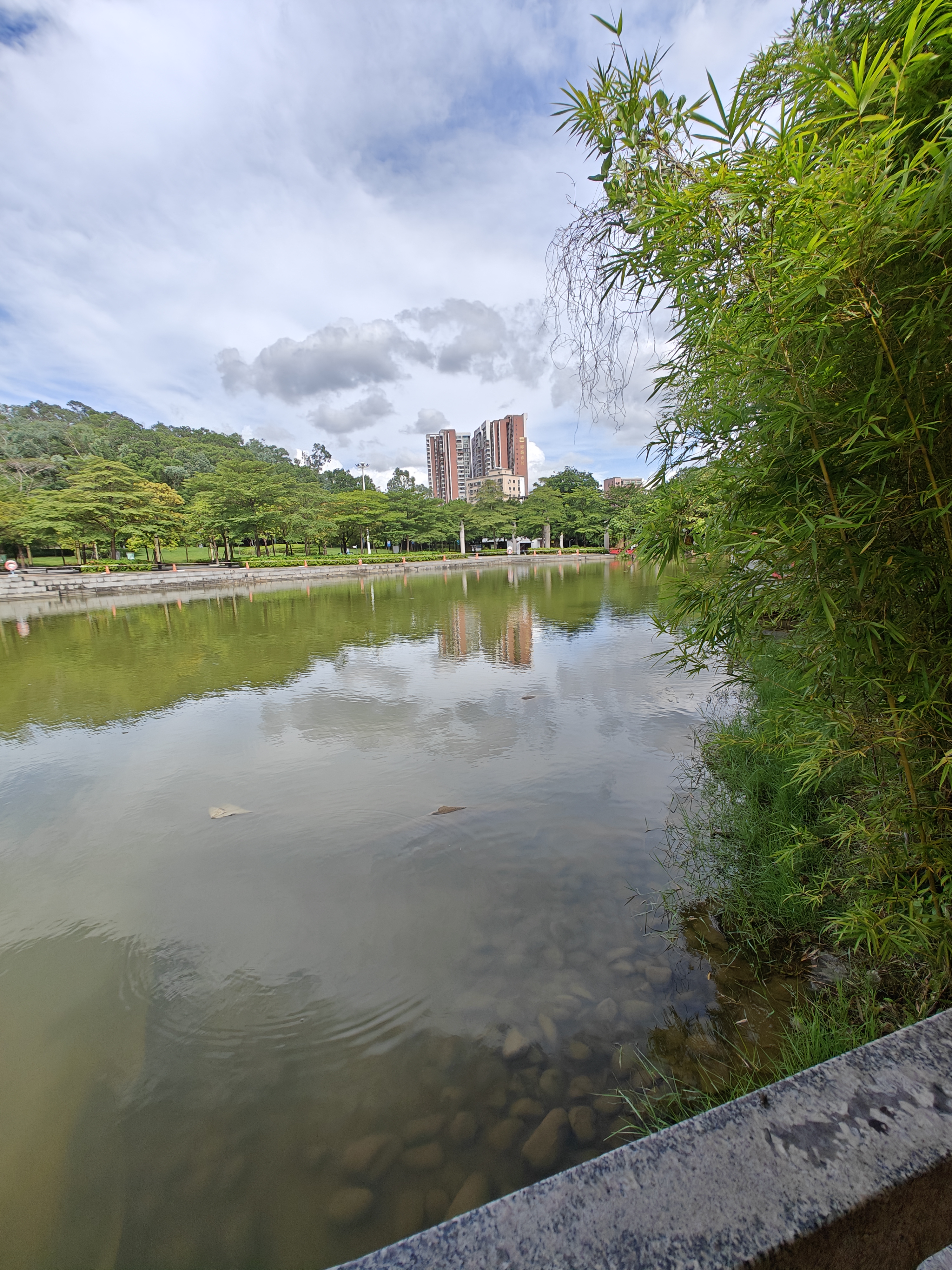 松岗麒麟山公园
