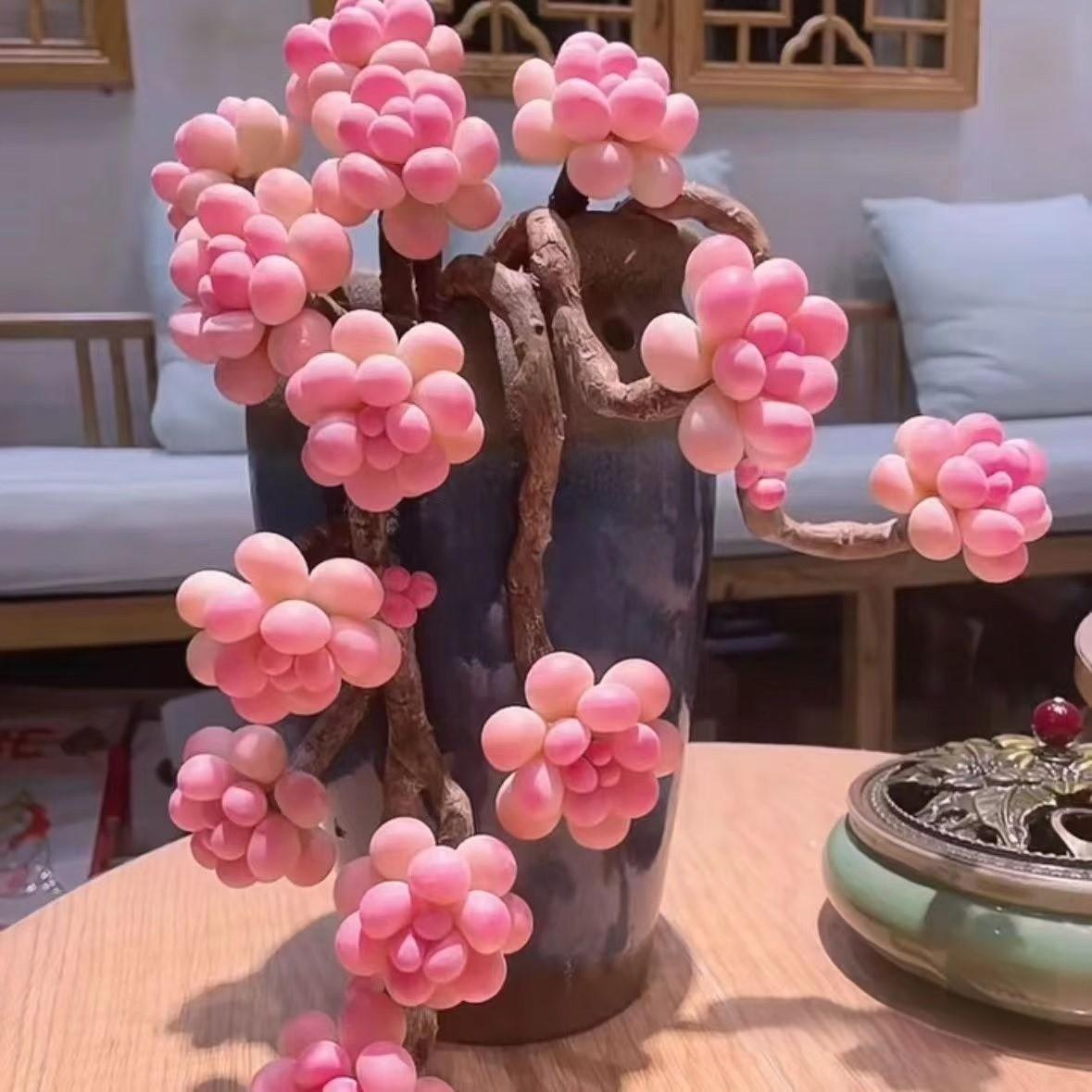 《粉色多肉:自然的温柔精灵》