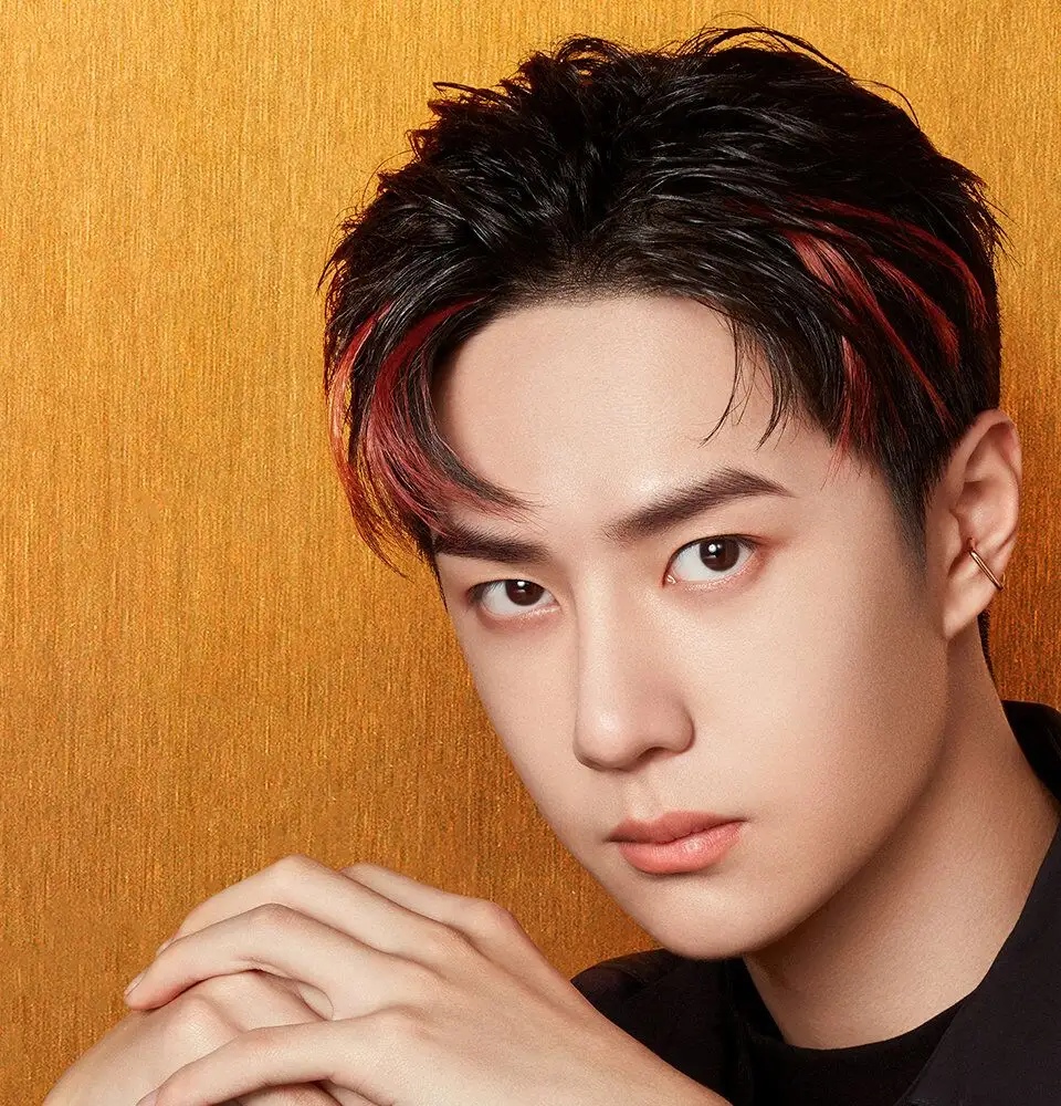 盘点那些戴耳环耳钉的男明星,您觉得戴上是变娘了还是更帅气了?