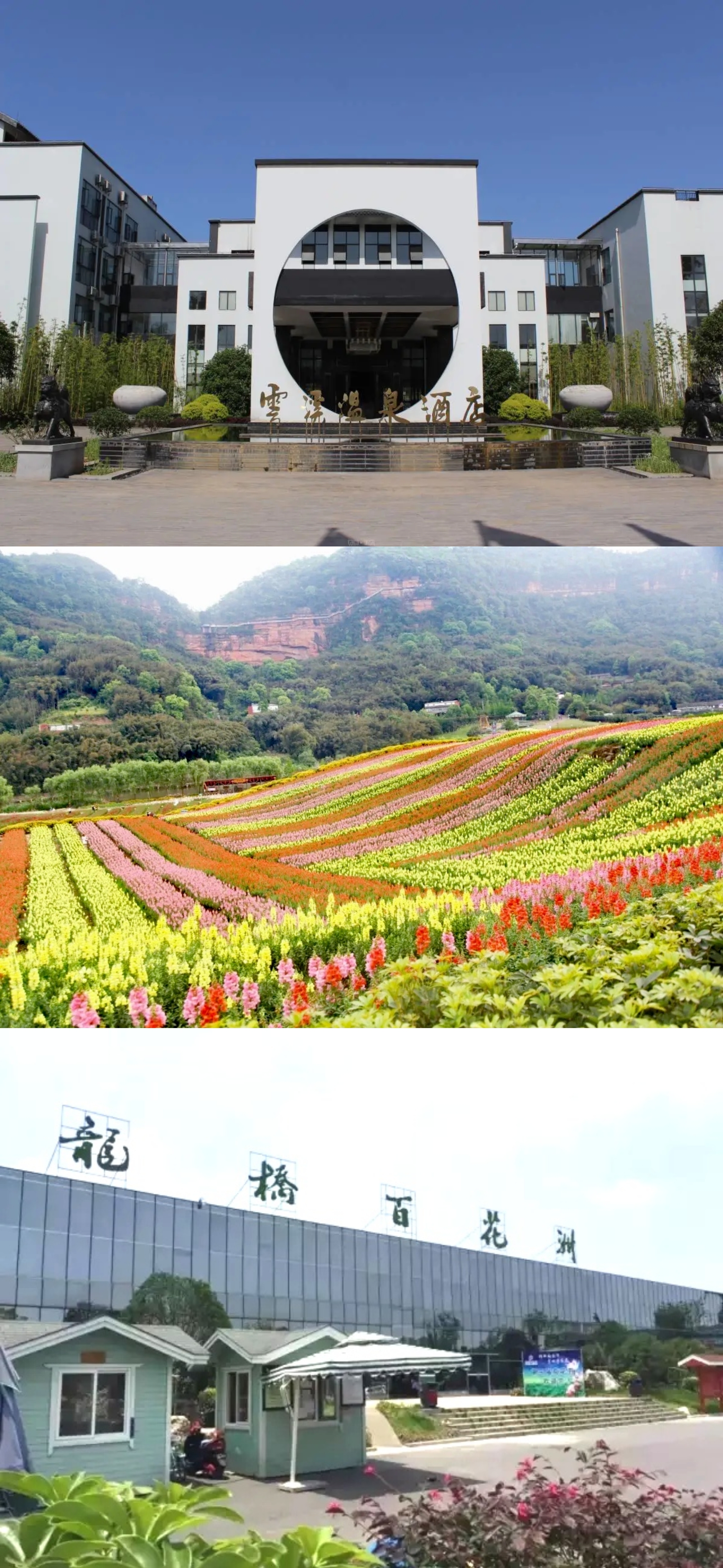它们分别就是云溪温泉,花田酒地以及龙桥文化生态园.