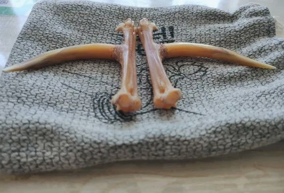 22种牙骨角类文玩全解析,其中10种属于违禁品,文玩新手必看!