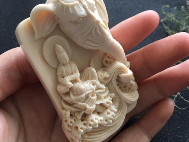 22种牙骨角类文玩全解析,其中10种属于违禁品,文玩新手必看!