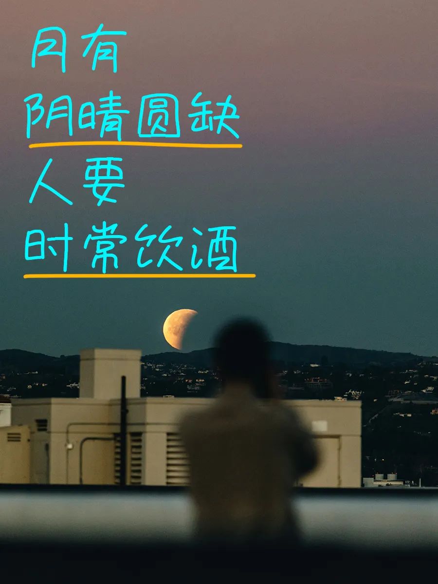 掐指一算,今日宜喝酒