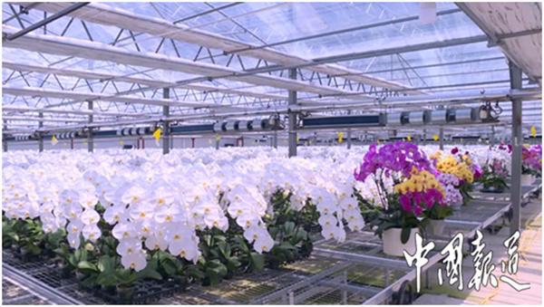 盐城市盐都区台创园:从农出发向"新"而行 推动园区高质量发展