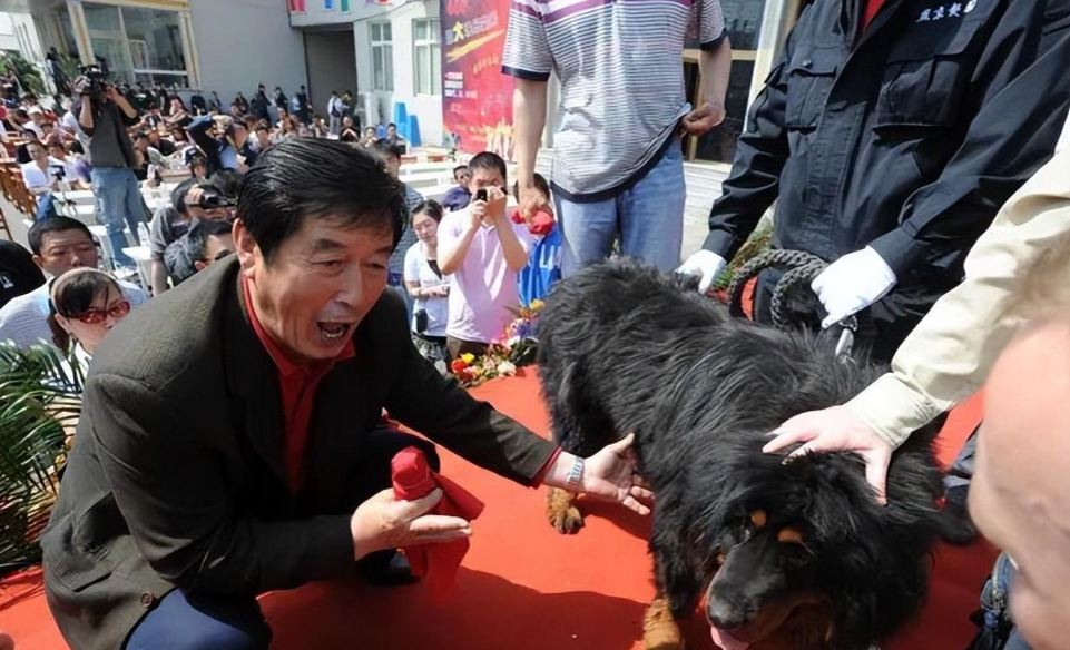 恶名昭彰马俊仁:被国家队开除养藏獒,一条狗卖4000万,如今怎样