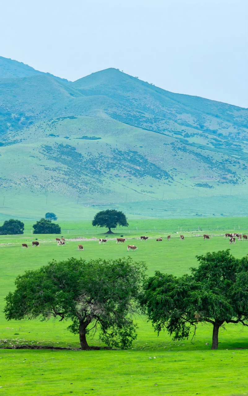 【中国最美的山地草原,科尔沁草原】内蒙古,沿着g304国道从霍林郭勒到