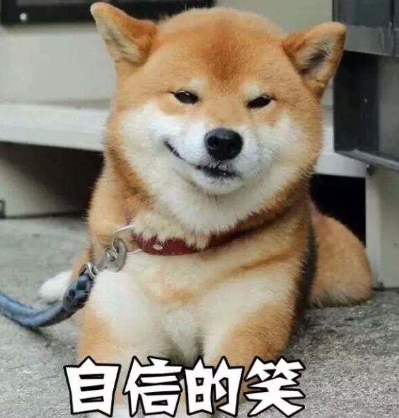 夕阳的余晖温柔地洒落,它惬意地趴在地上,嘴角勾勒出一抹自信的笑容