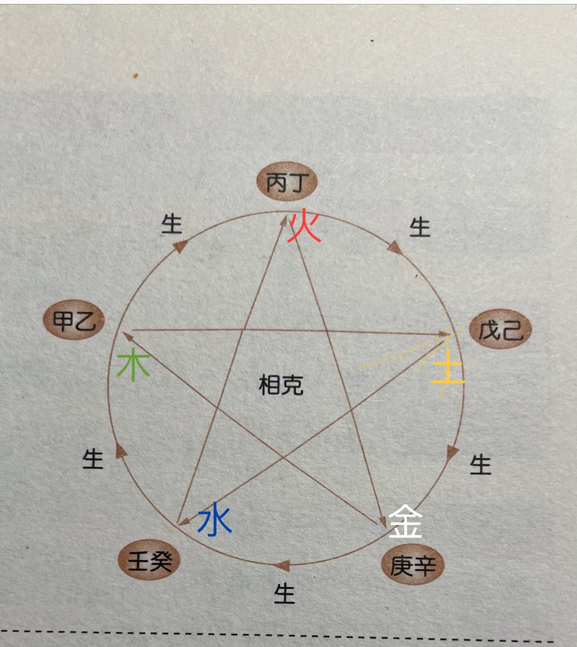 水生木相生图片