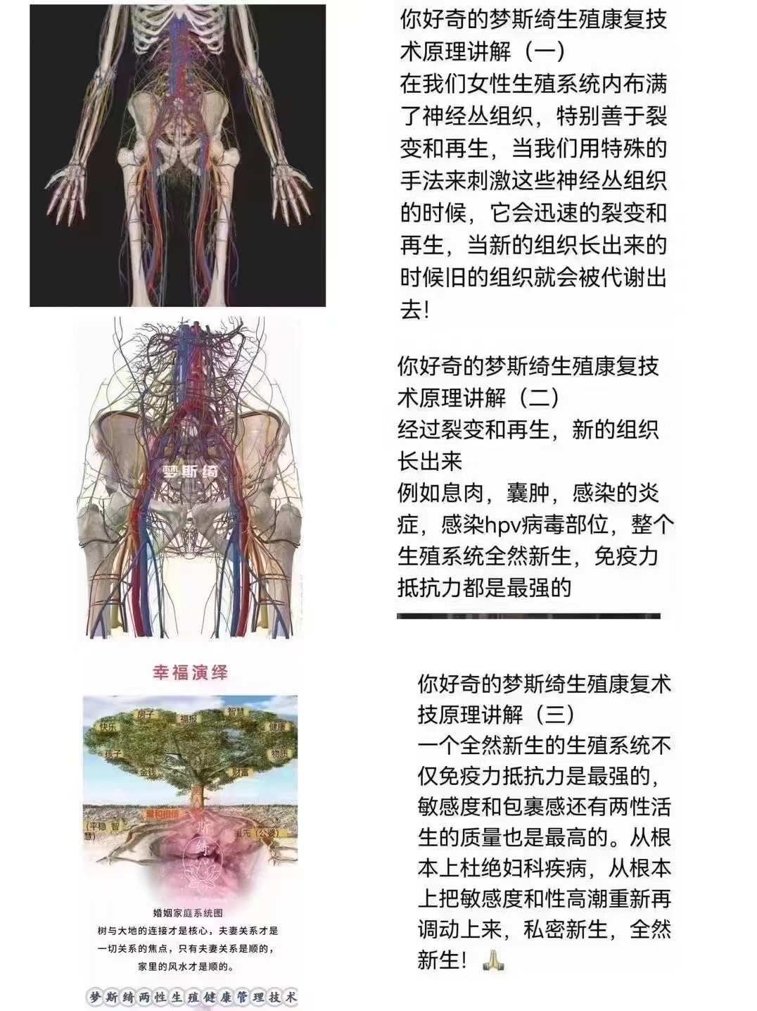 梦斯绮纯徒手私密签约调理