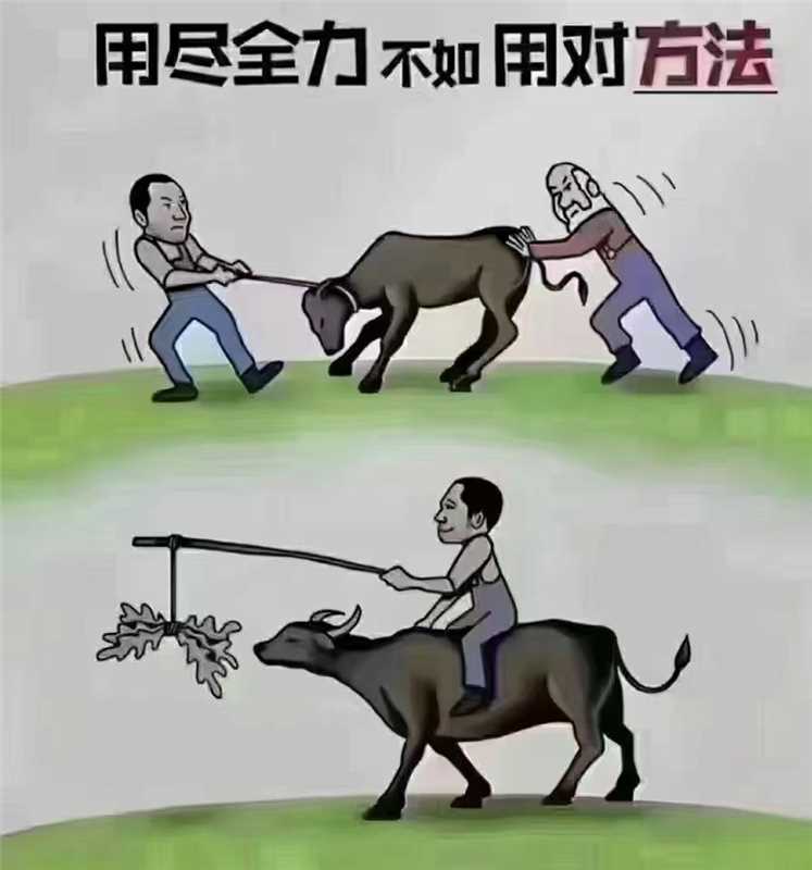 一个拉着往前走,一个在后边推着牛往前走,牛原地不动,弄的两个人满头