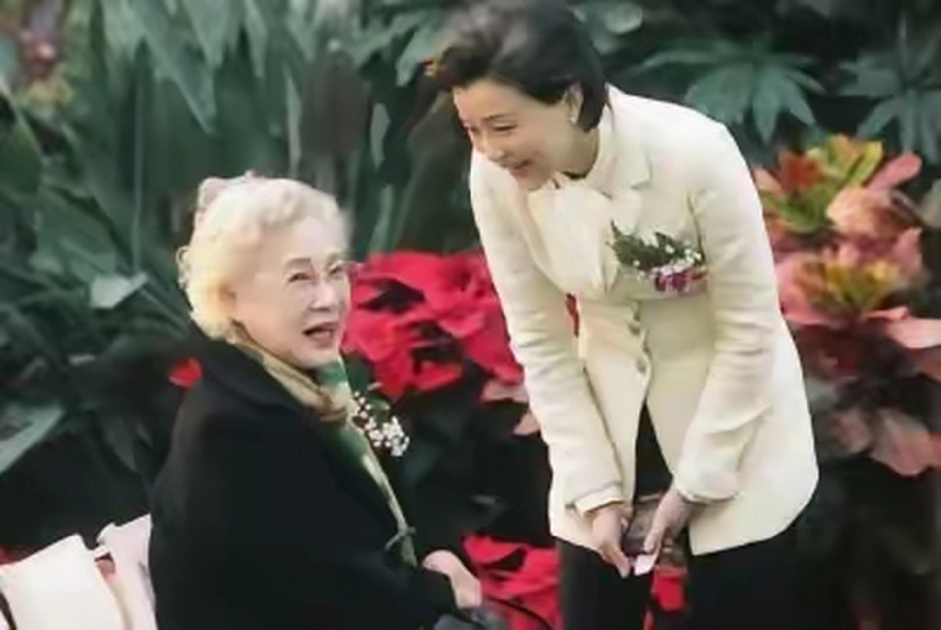 99岁的抗癌明星秦怡真的美了一辈子,这位百岁老人拥有一头漂亮的银发