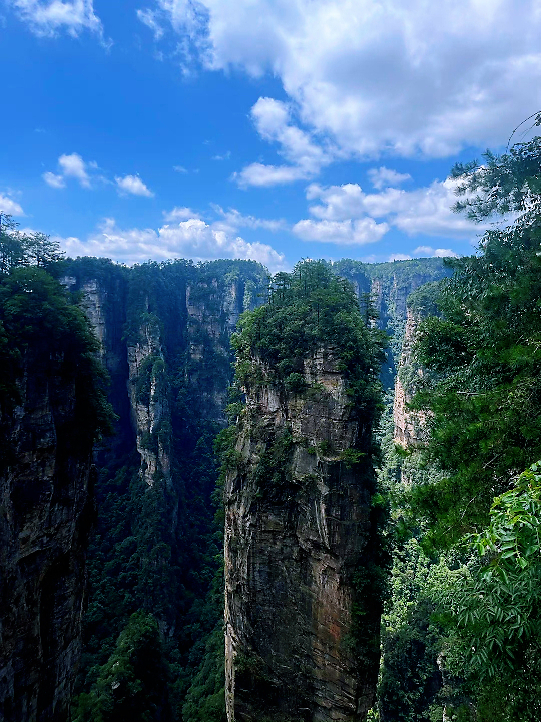 湖南张家界国家森林公园袁家界景区,被称为是"神秘的潘多拉世界"!