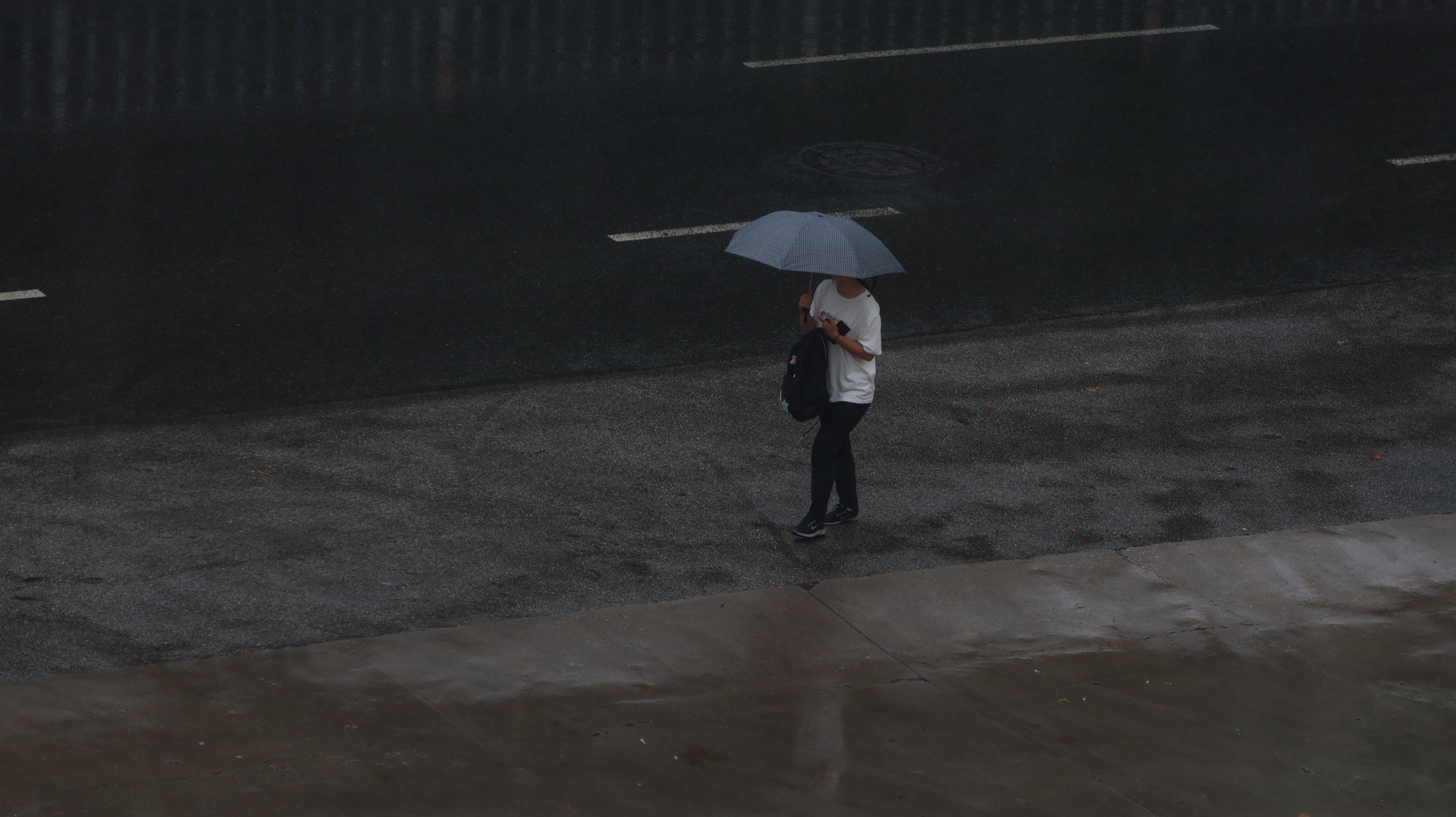 雨人照片图片