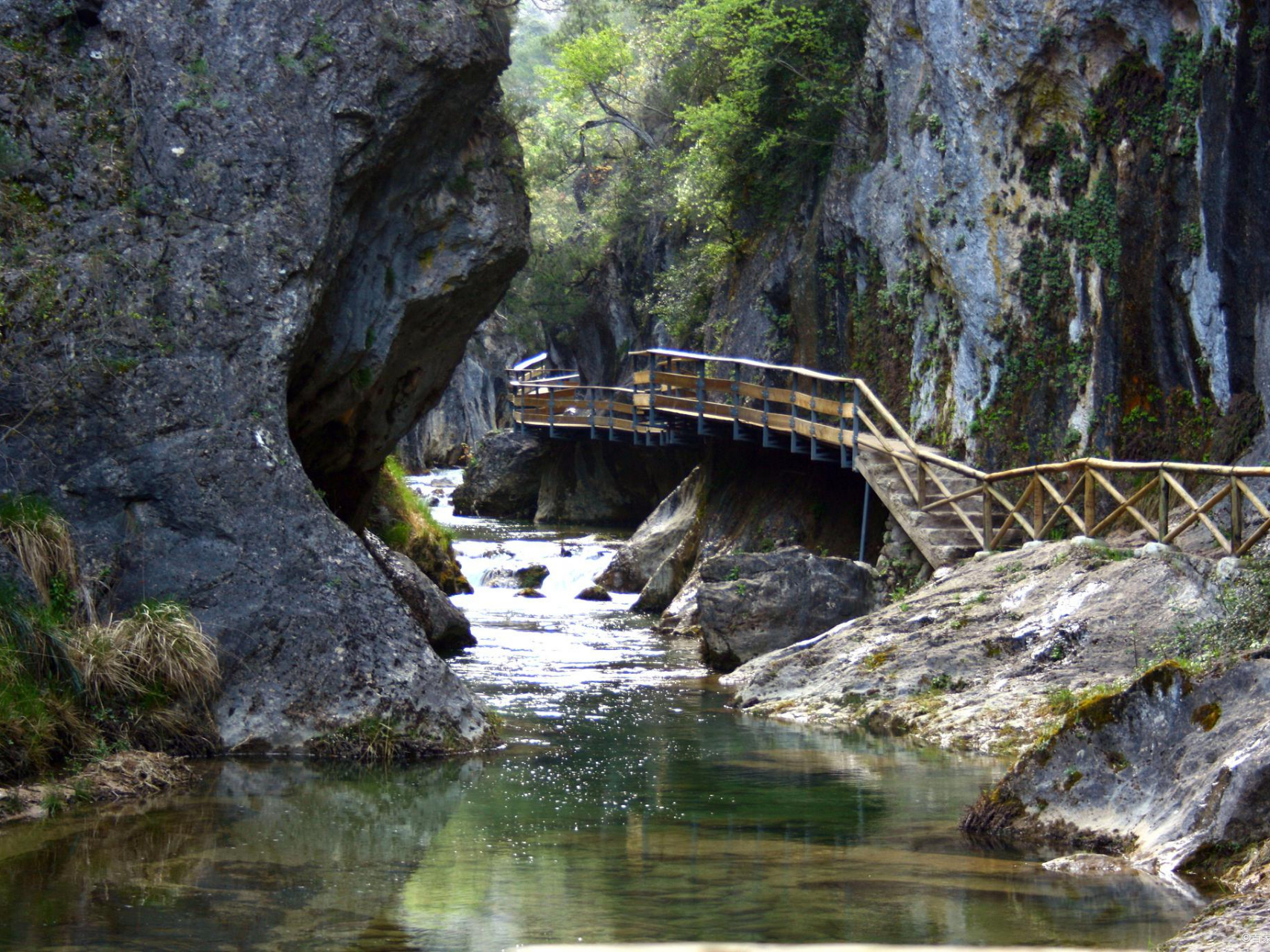 宝鸡大水川:这里平均海拔 1900 - 2300 米,广袤的高山草甸,森林郁郁
