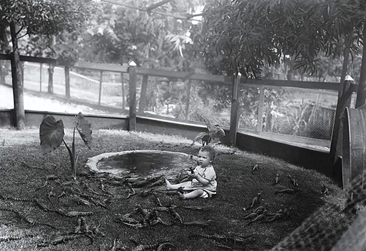 历史比你想象的更可怕:盘点23张细思极恐的老照片,尤其是第19张