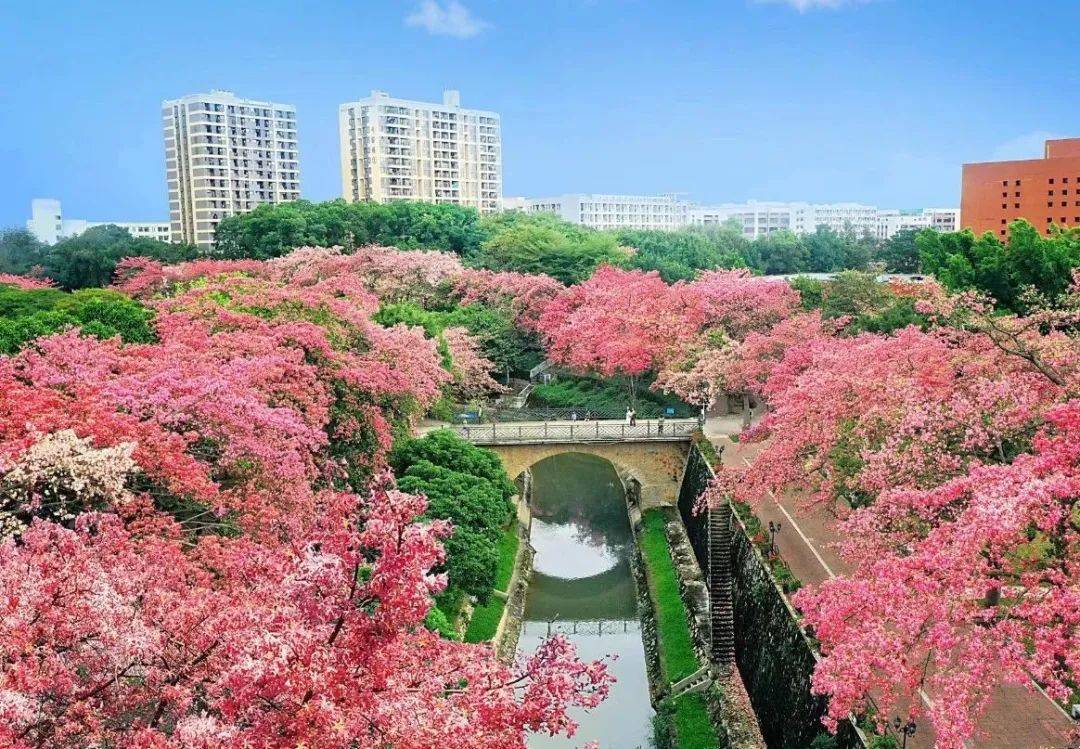 广州软件学院校园风光图片