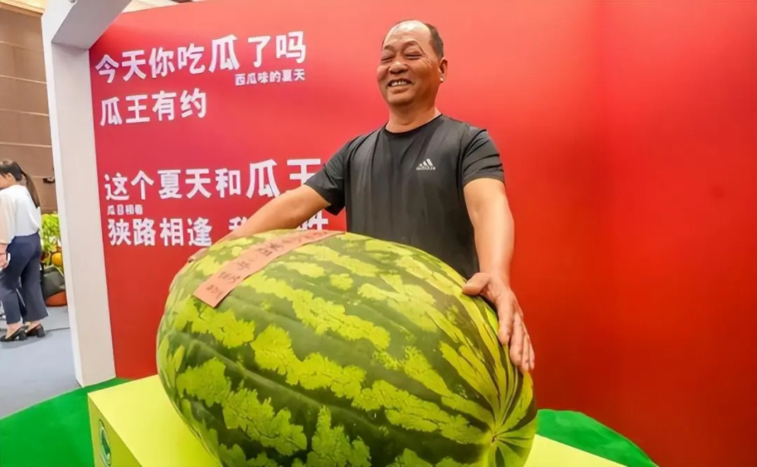 北京一阿姨,院子里种出174斤超大西瓜,网友:人生第一次见!