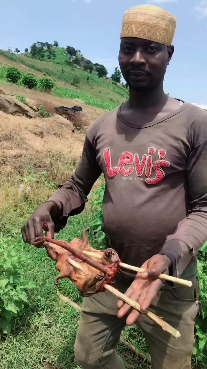 非洲食物图片