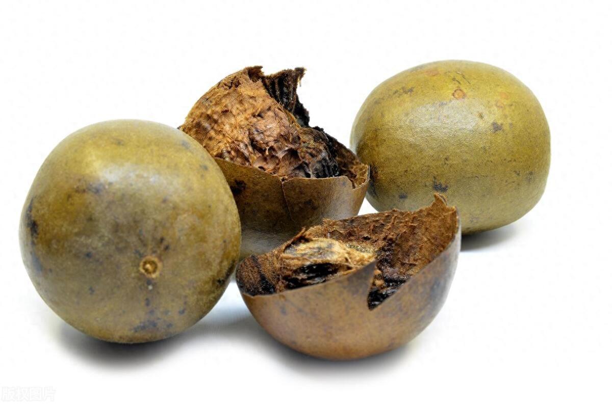 罗汉果是黄金果?还是健康养生新宠?