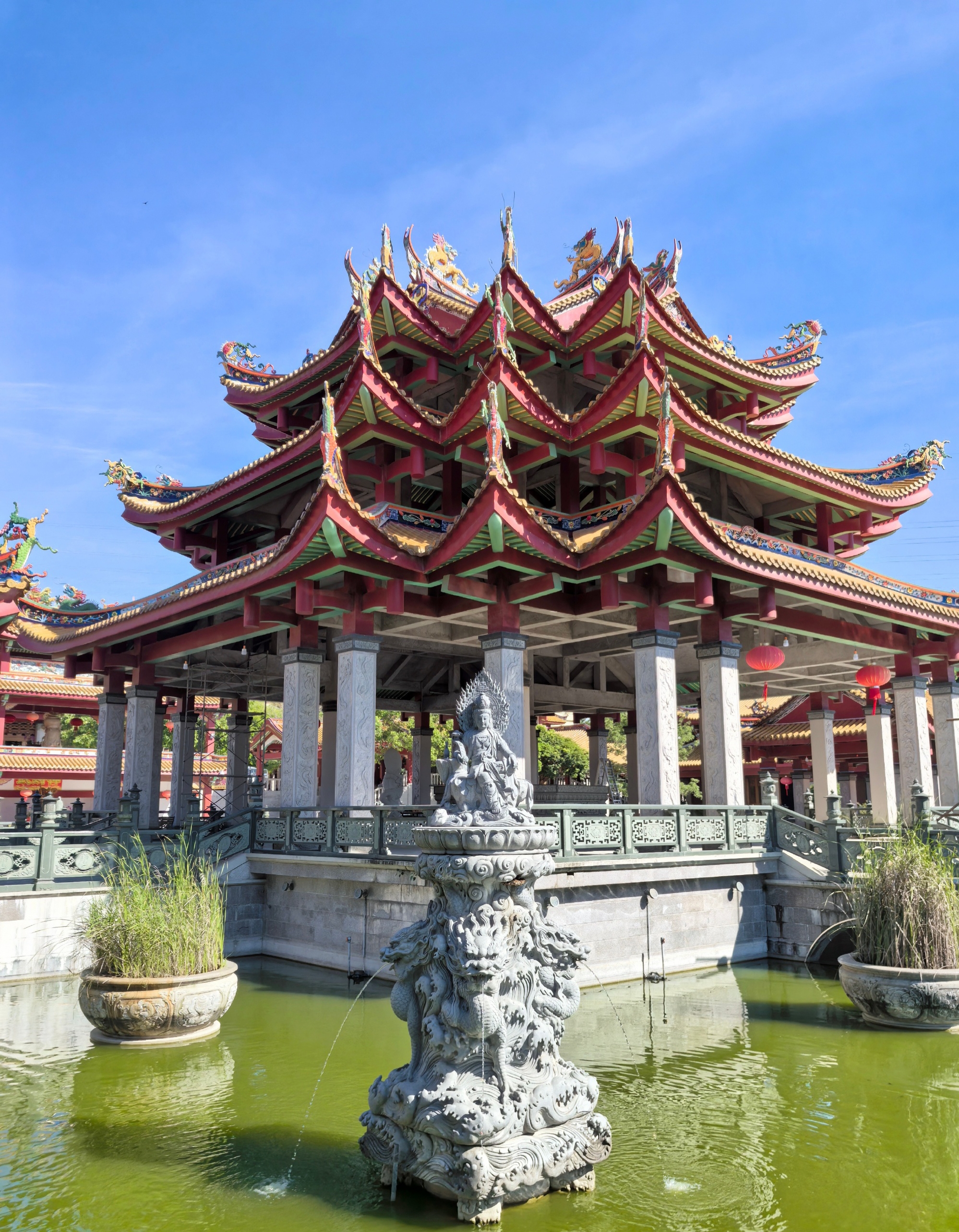 天竺岩寺的多瓣荷花很入画 #动态夏日征集令