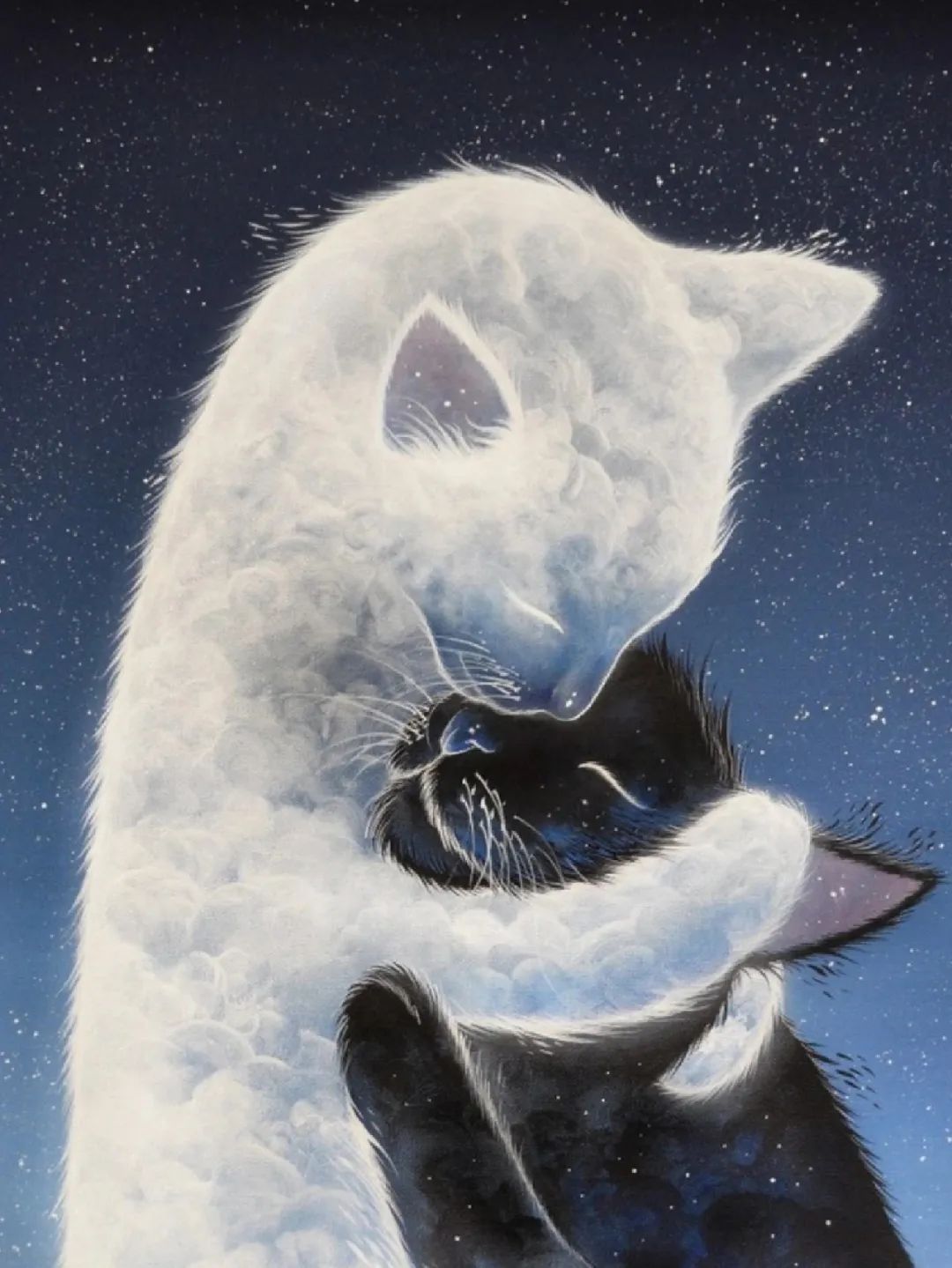 黑猫与白猫的温馨拥抱仿佛在诉说着无尽的故事