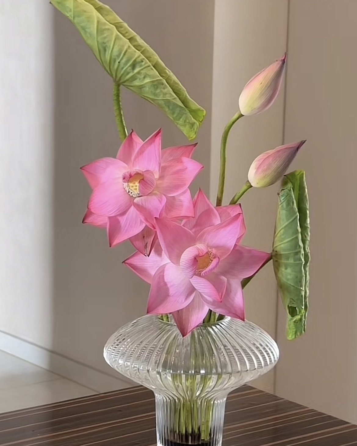 好看的荷花插花,看见的友友们接下来的每一天都好运连连.