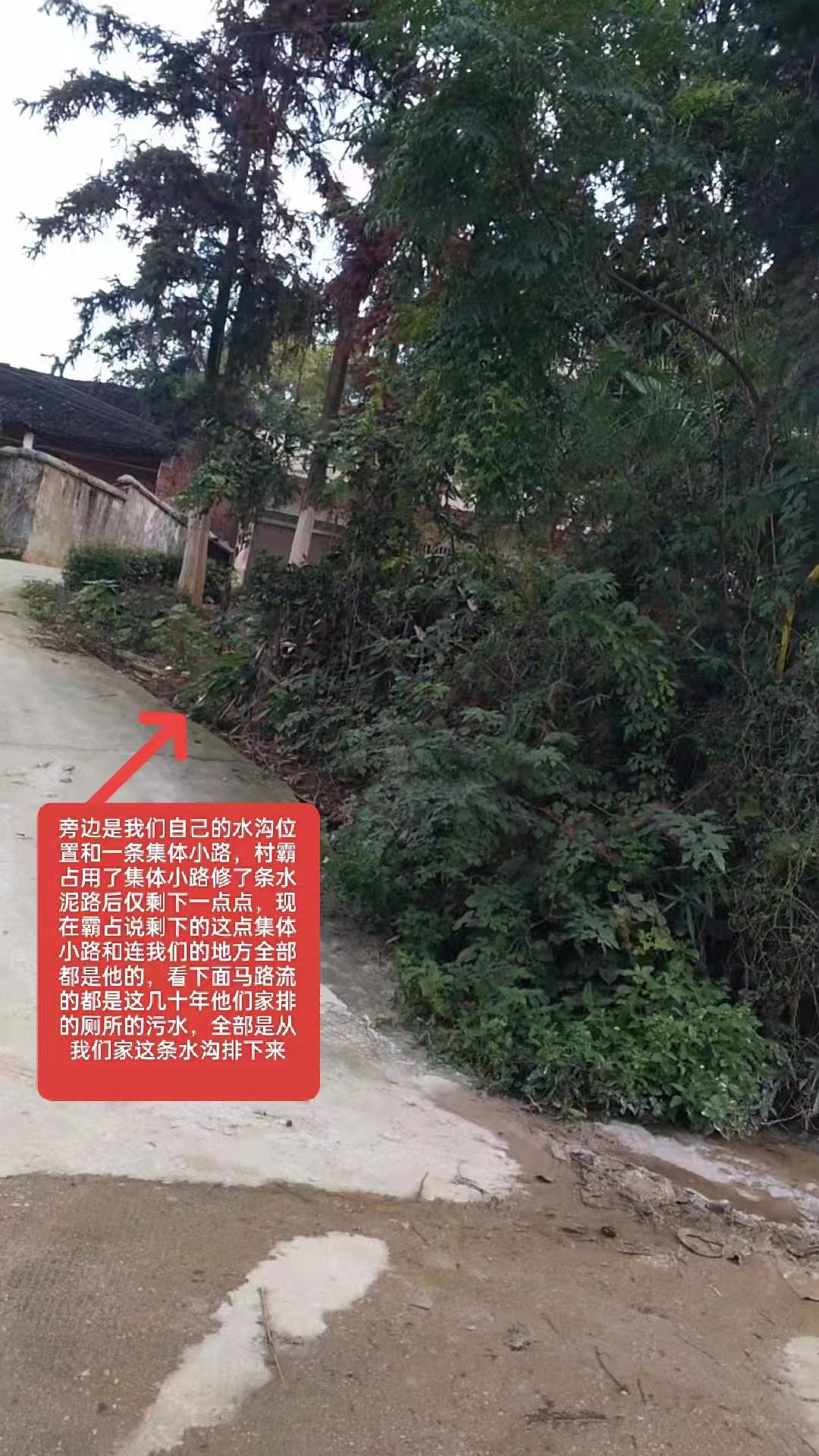 村霸霸权何时休?20 余年土地侵占,殴打欺压不断!