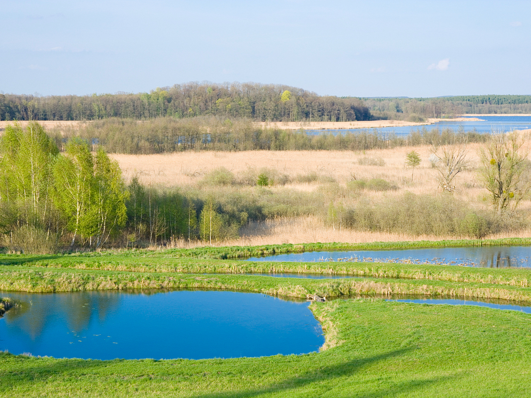 活力内蒙古#通辽大青沟:是科尔沁沙地仅存的一块原始森林植被群落