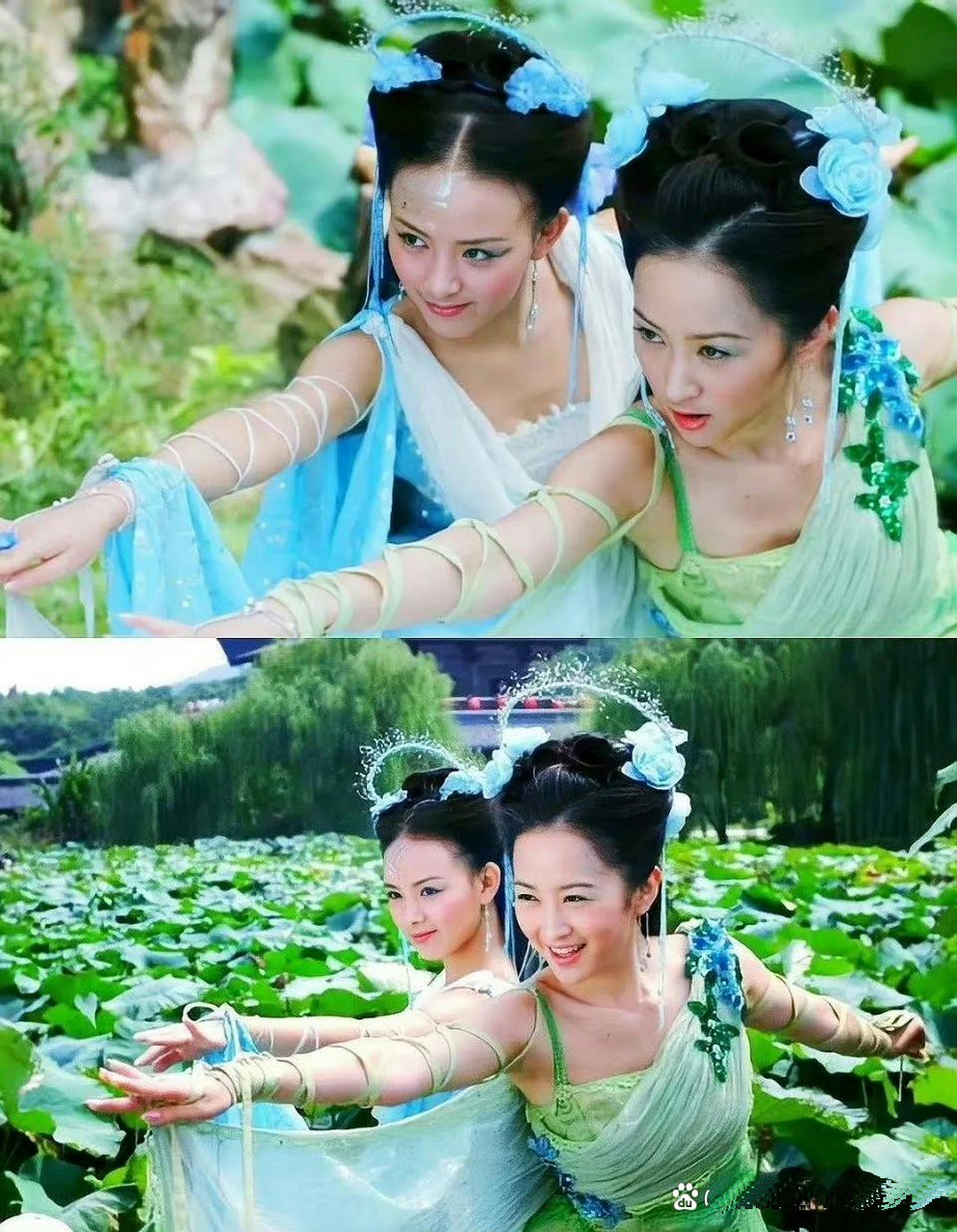 欢天喜地七仙女,橙儿我的白月光