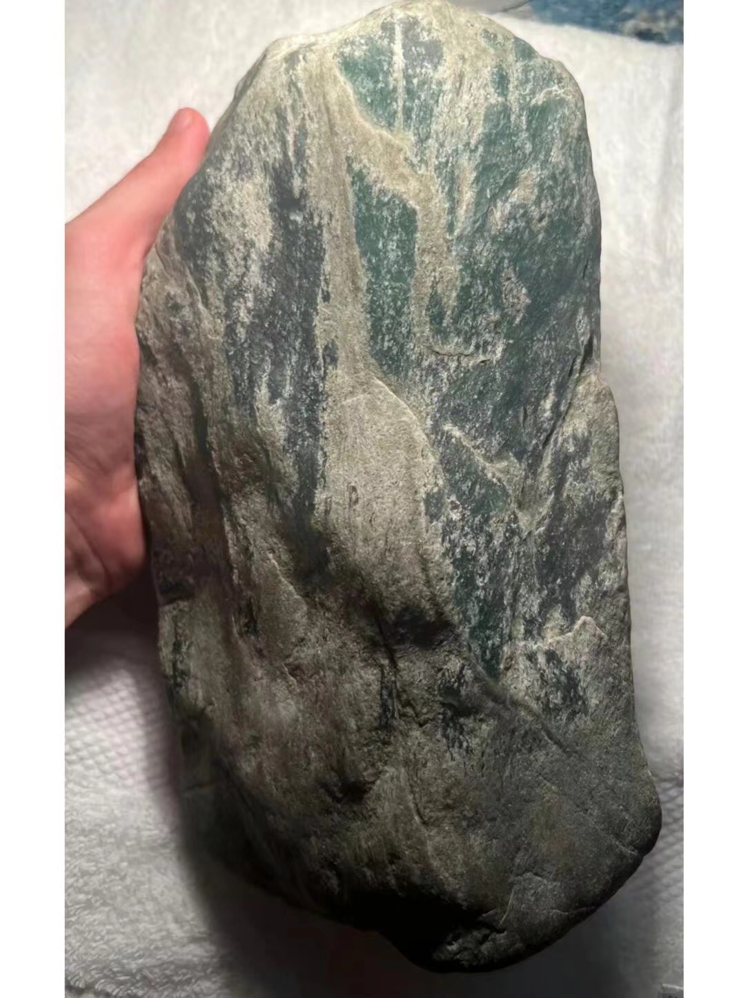 点击头像看直播# 今日分享一块绝美的冰飘花翡翠原石,这块是一种带有