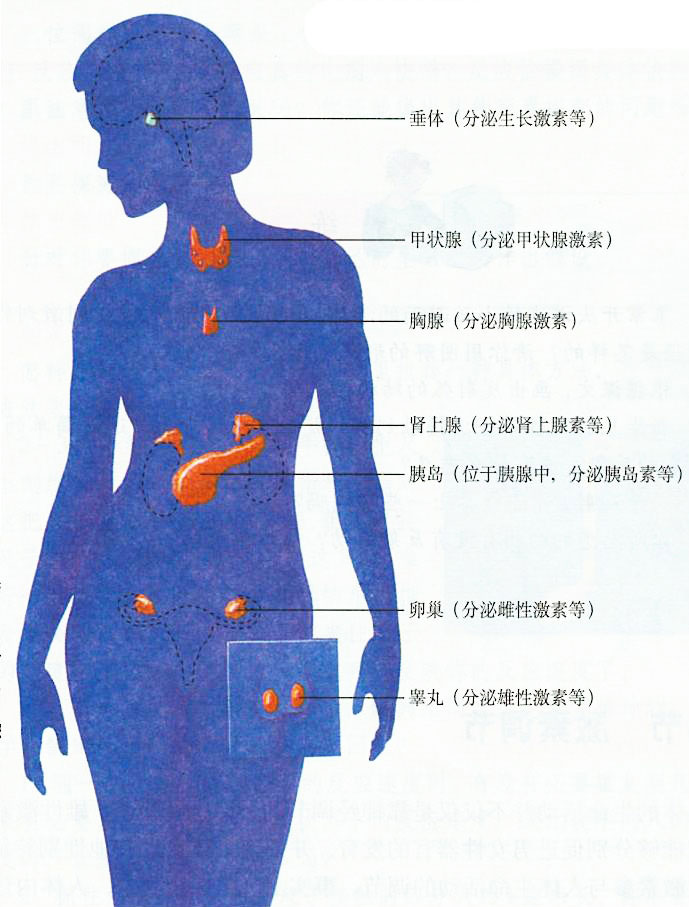 超标近700倍 日本千叶县井水存在健康威胁